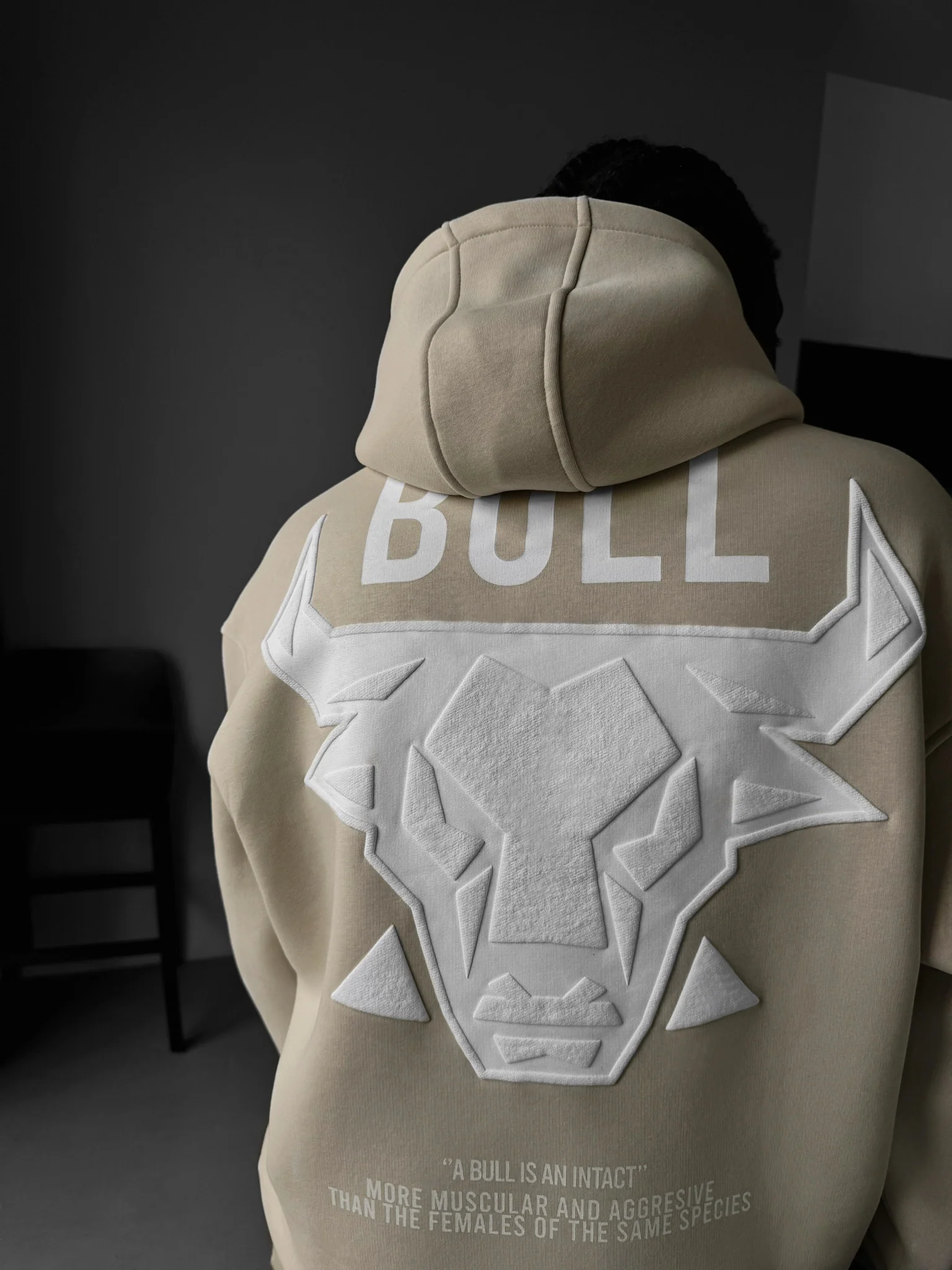 Oversize Bull Hoodie - Bleached Sand