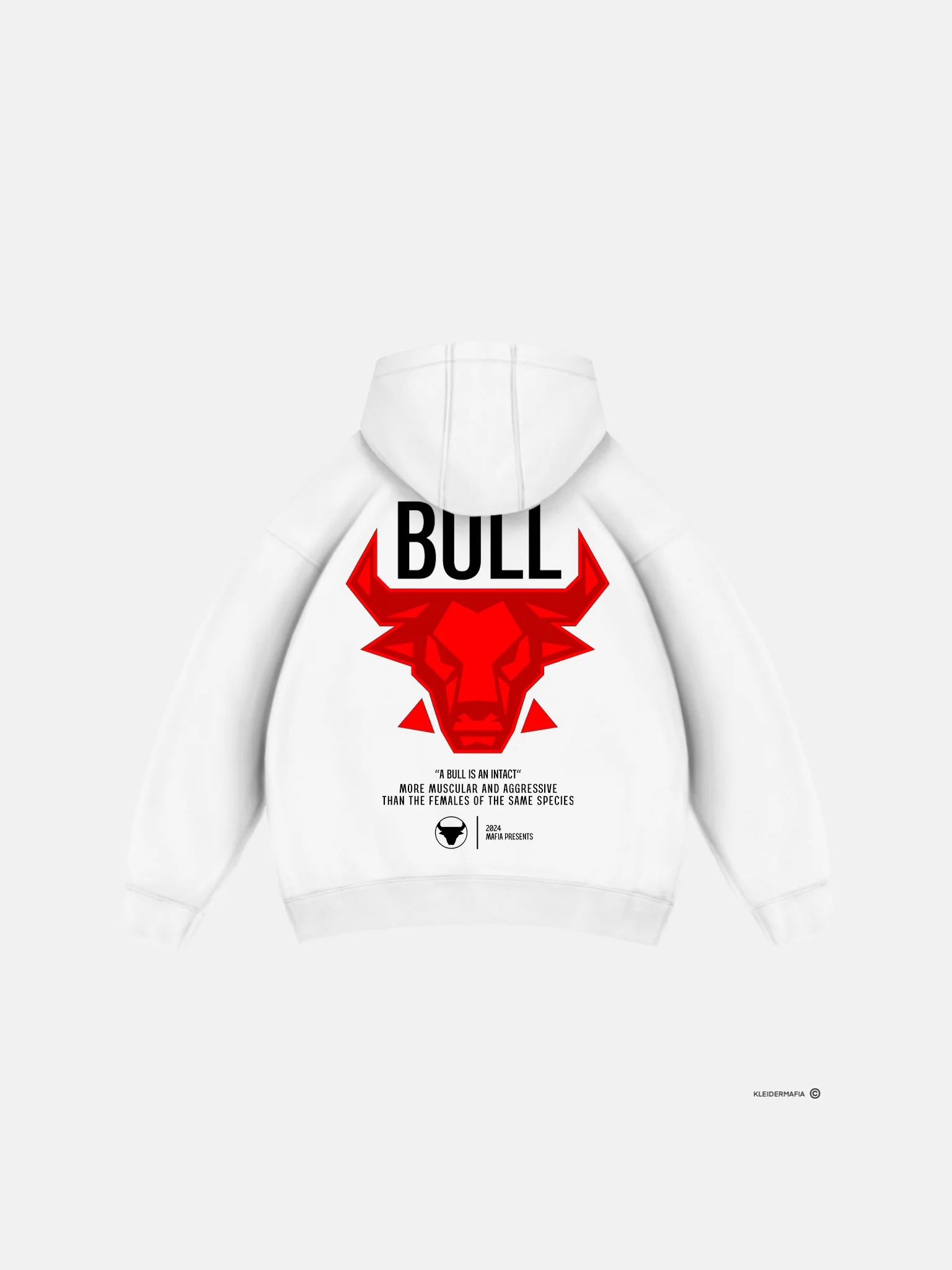 Oversize Bull Hoodie - Off White - Image 7